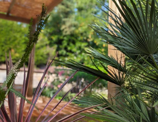 pose de terrasse en bois Chamery